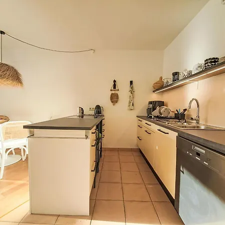 公寓 Tauernfeeling By Interhome 巴德加斯坦